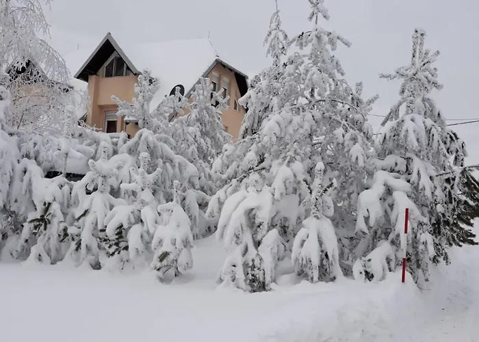 Apartmani Mim